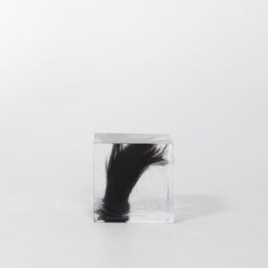 Buddy pet memorial keepsakes. Resin cube fur memorial.