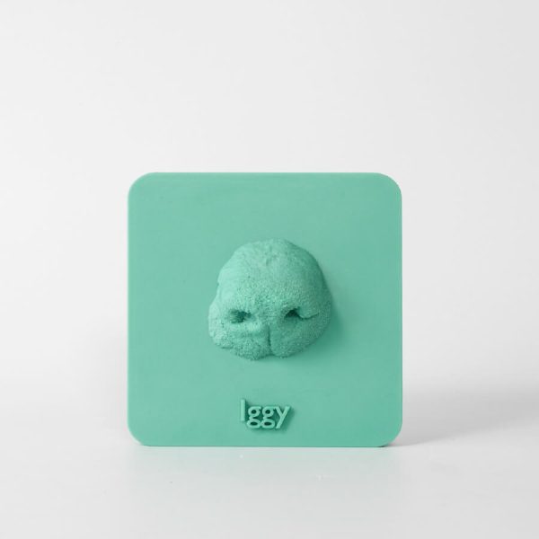 Pet memorial keepsake. 3D print memorial in sage.
