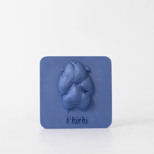 Pet memorial keepsake. 3D print memorial in ocean.