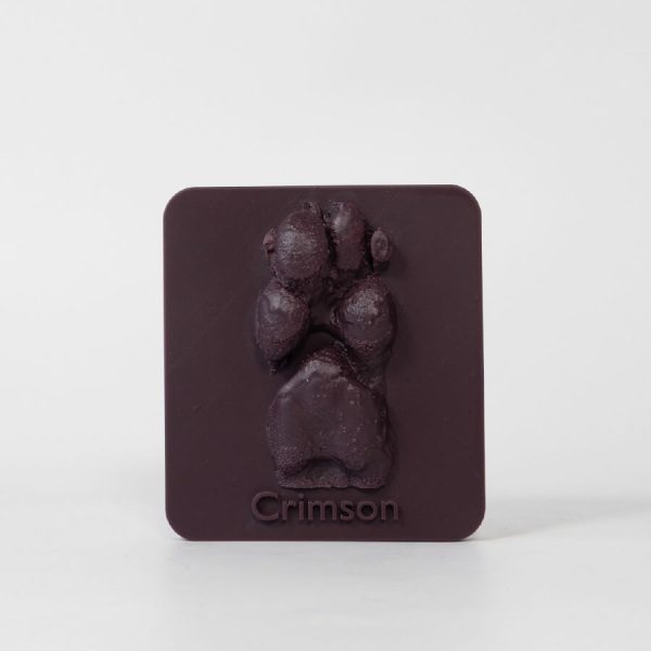 Pet memorial keepsake. 3D print memorial in plum.
