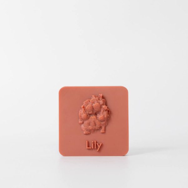 Pet memorial keepsake. 3D print memorial in terracotta.