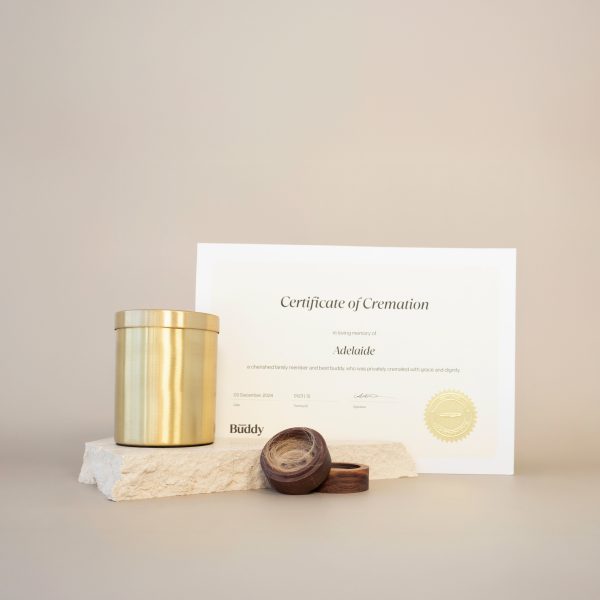 Brass Package