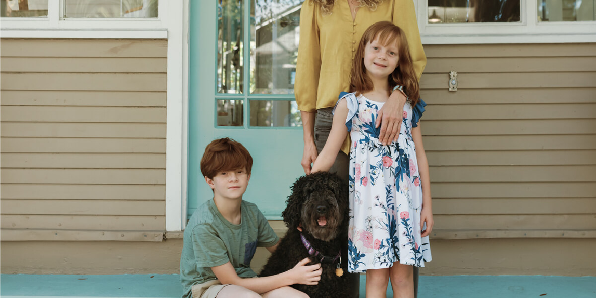 Honouring pets during the festive season . Buddy support resources for pet grief and pet loss.