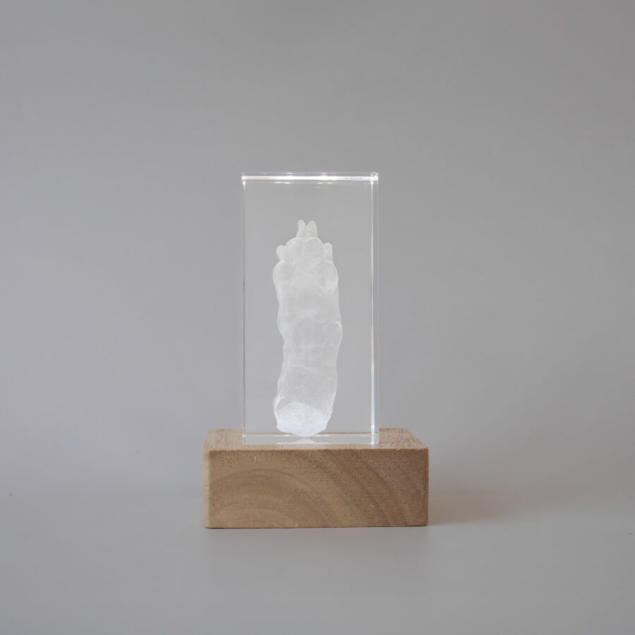 Pet memorial keepsake. 3D crystal paw print memorial in white.