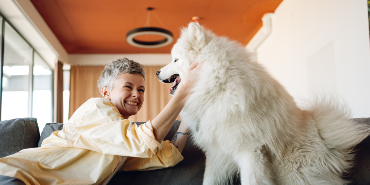 Buddy Best Package - woman and Samoyed